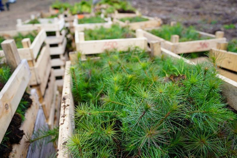 photo 2025-10-24 12-52-16