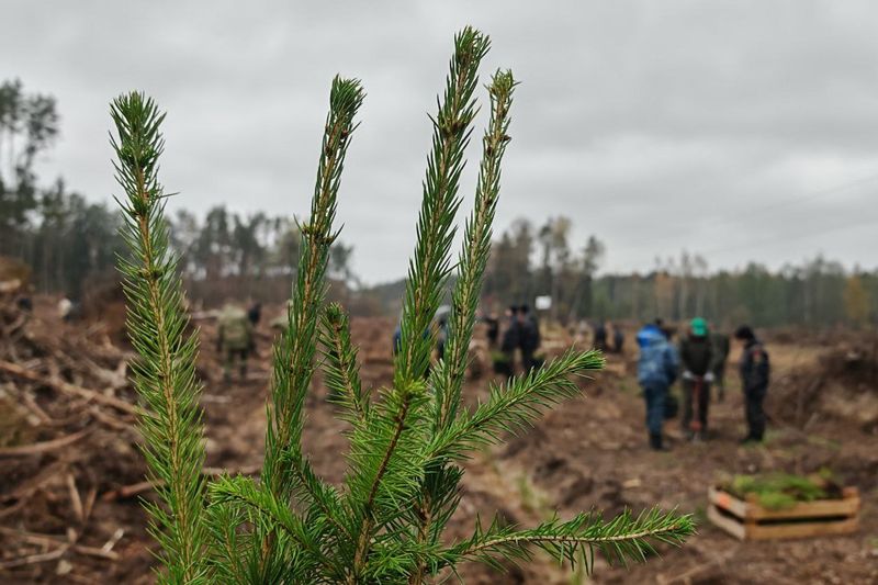 photo 2025-10-24 14-16-34