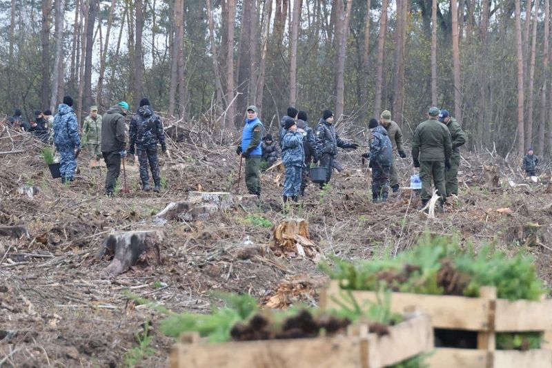 photo 2025-10-24 14-16-35 2