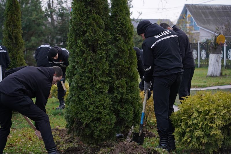 photo 2025-11-08 08-29-44