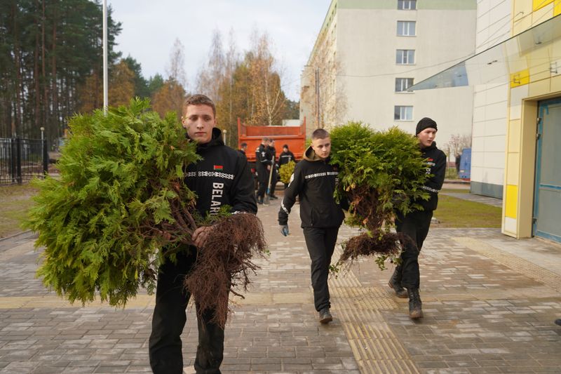 photo 2025-11-08 08-29-53