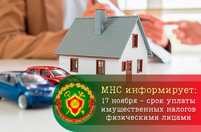 mns banner